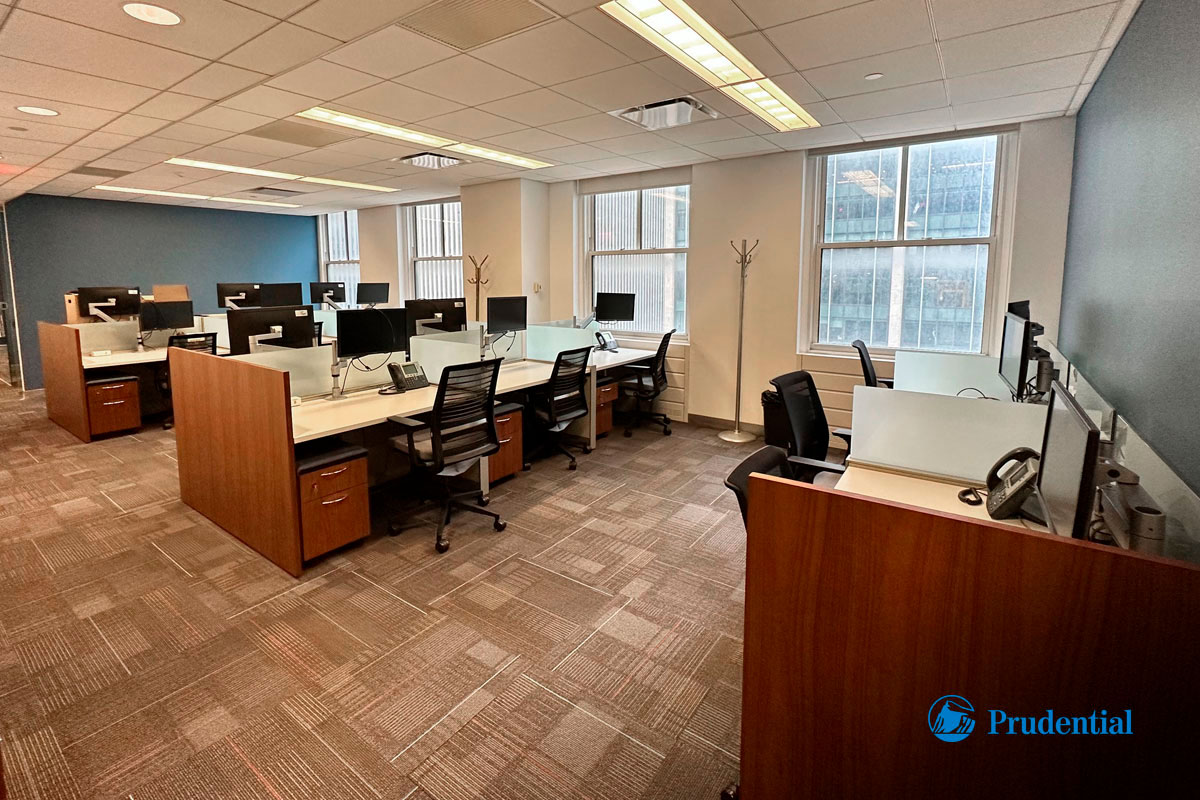 Photo of the Prudential Financial Project