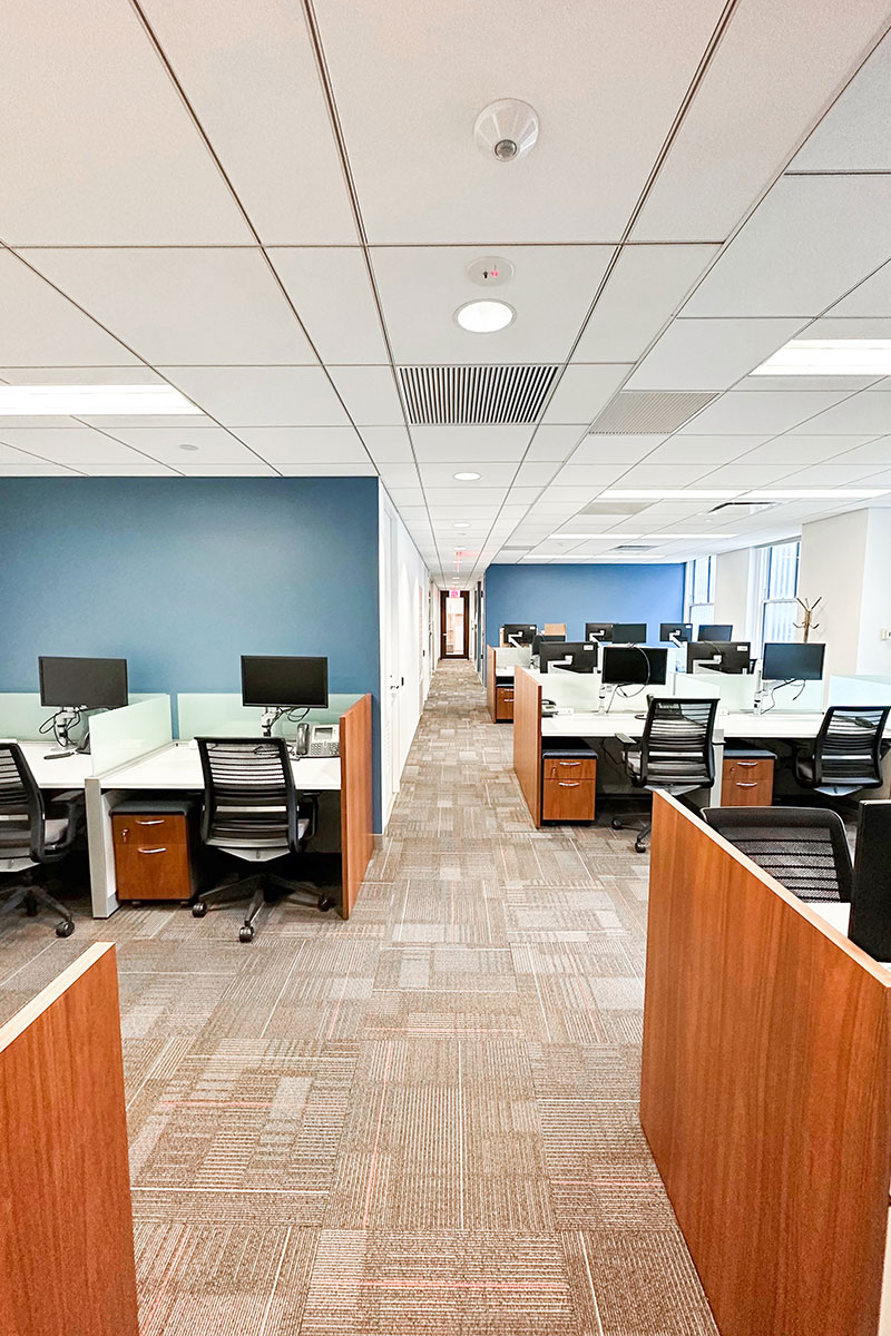 Photo of the Prudential Financial Project