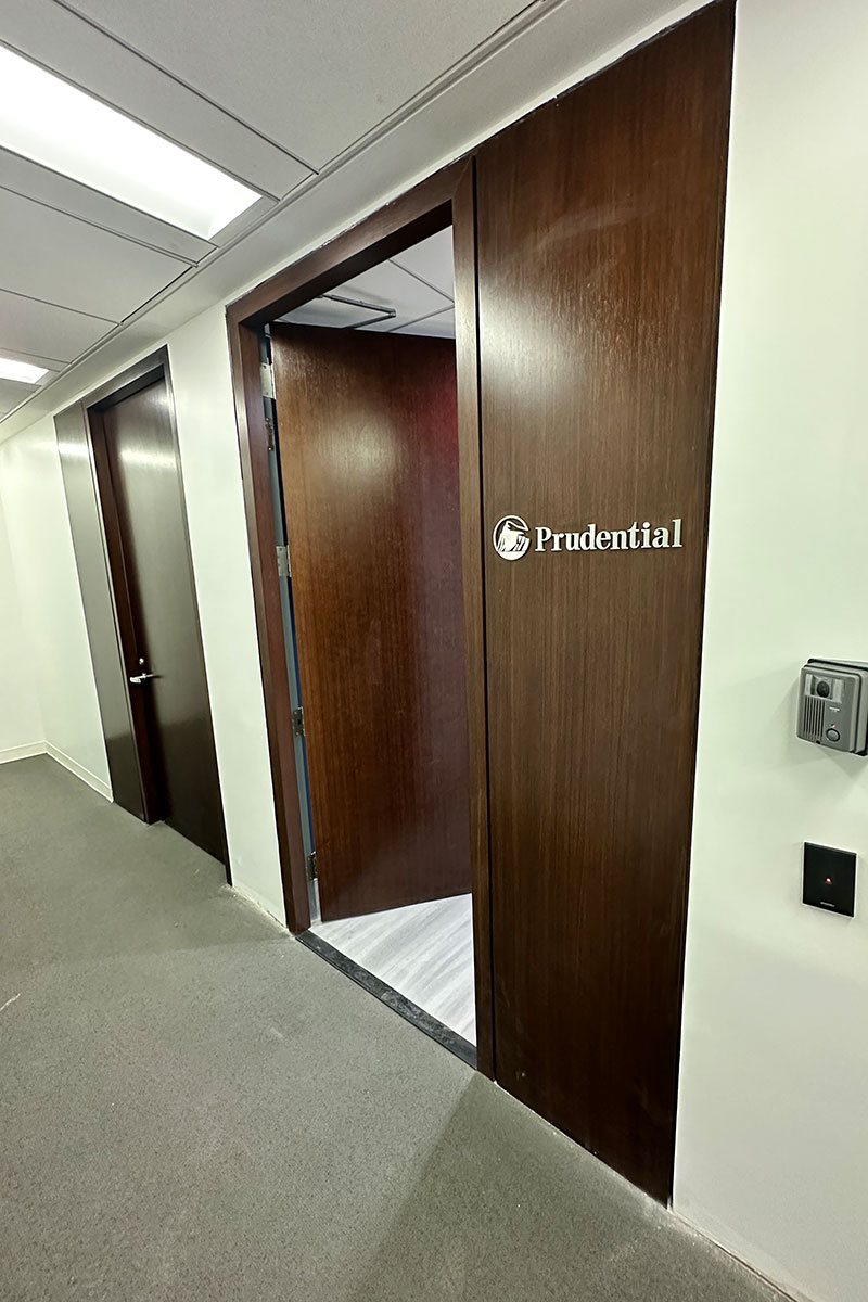 Photo of the Prudential Financial Project