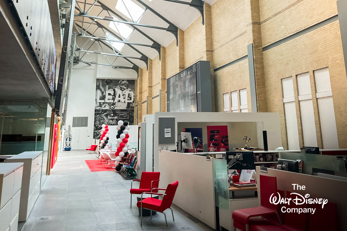 Photo of The Walt Disney Company Project