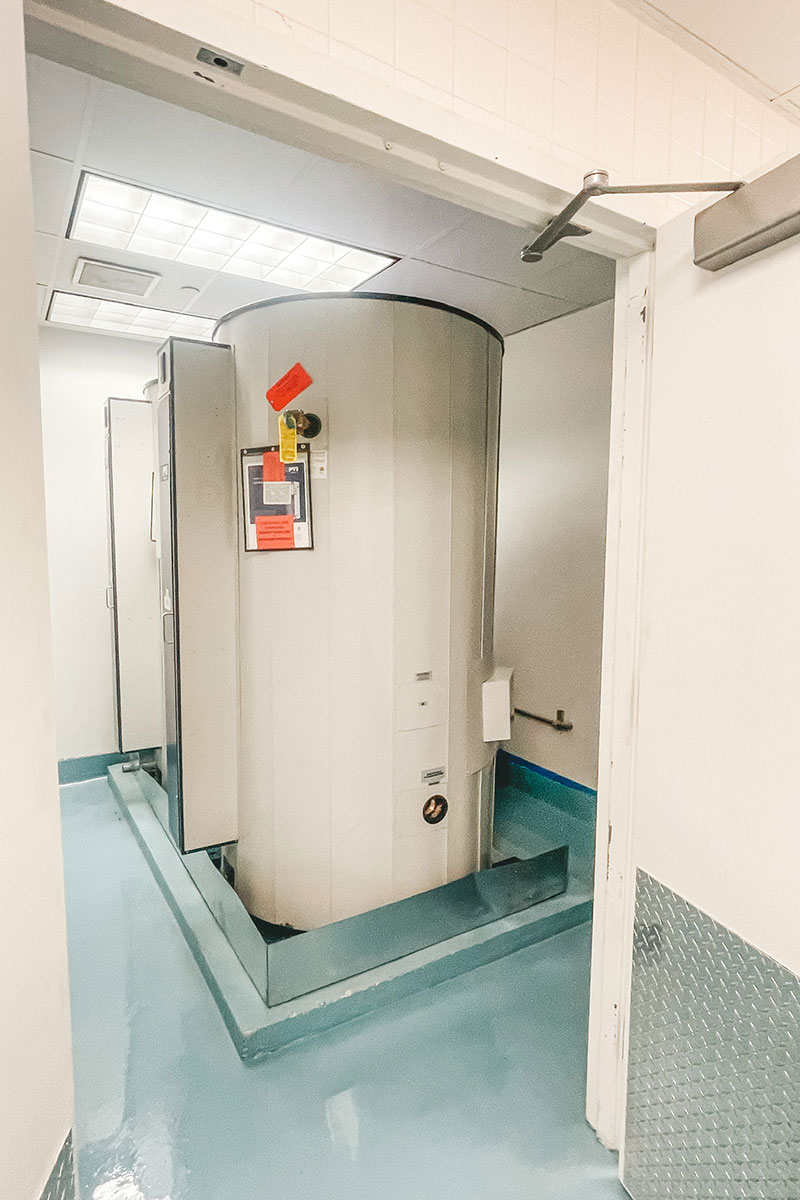 Photo of The Walt Disney Company Project