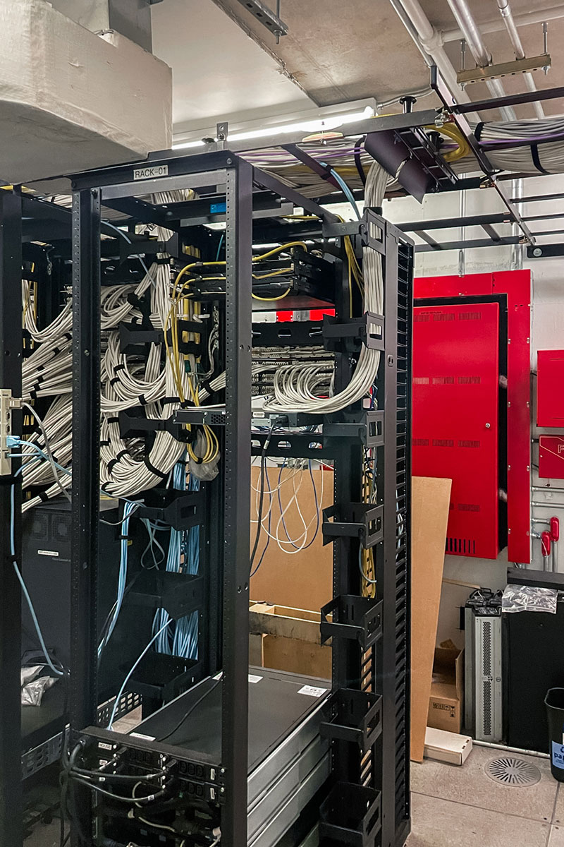 Photo of The Walt Disney Company Project