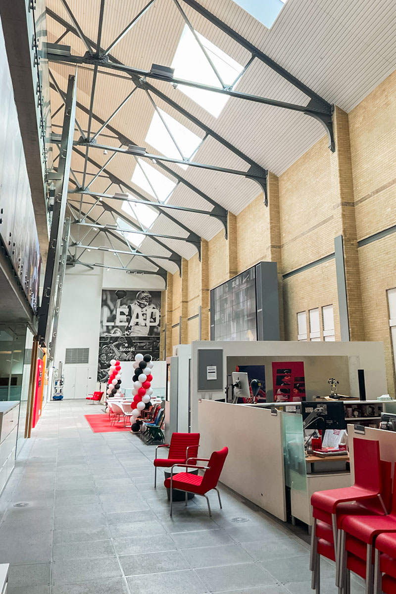 Photo of The Walt Disney Company Project