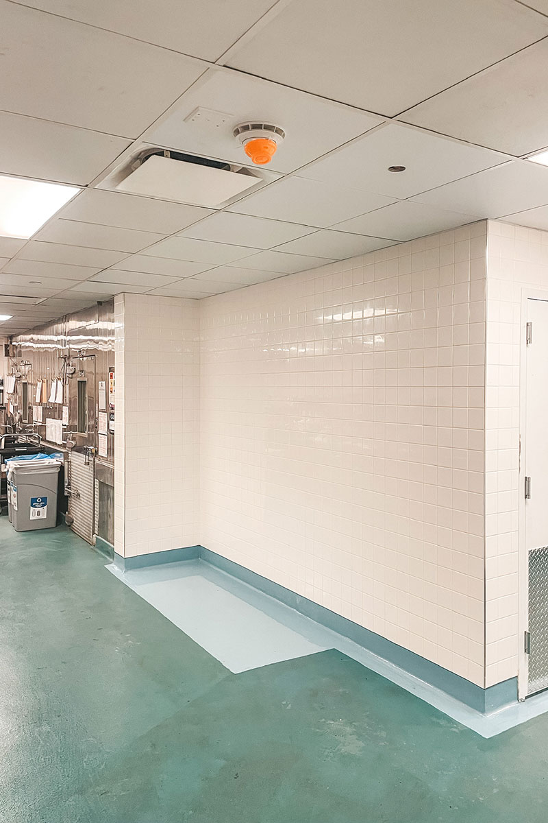 Photo of The Walt Disney Company Project