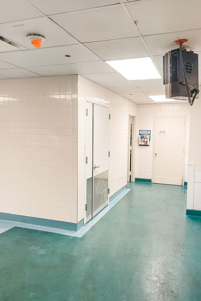 Photo of The Walt Disney Company Project