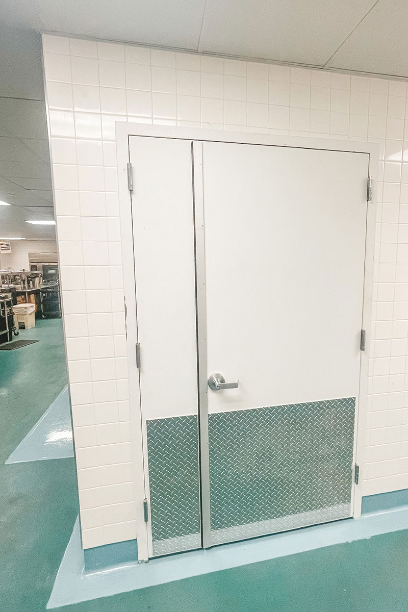 Photo of The Walt Disney Company Project