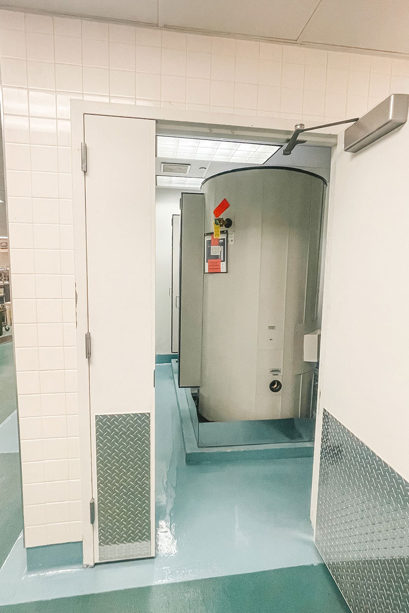 Photo of The Walt Disney Company Project