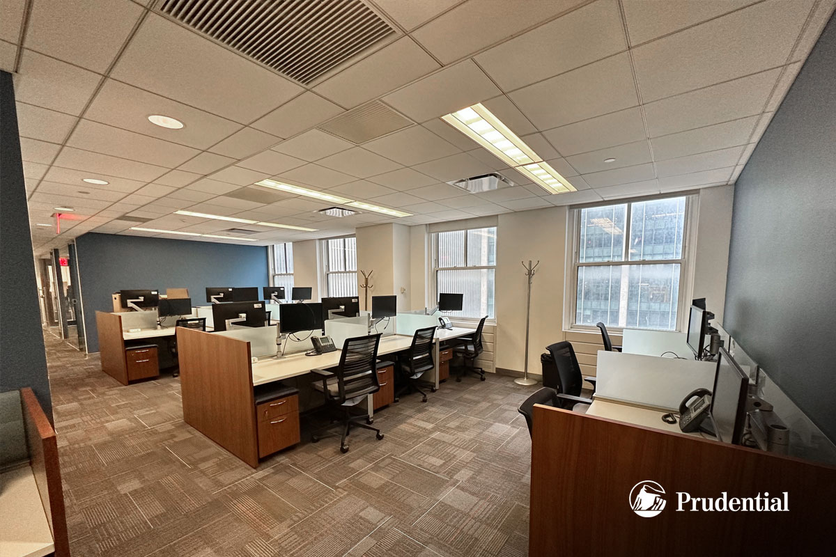 Photo of the Prudential Financial Project